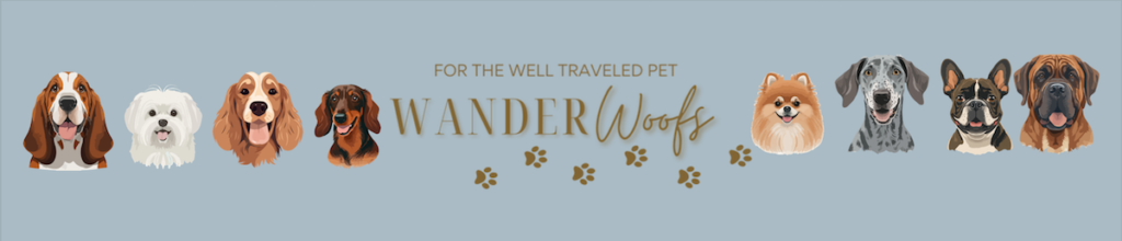 WanderWoofs – Dog Sitting & Walking Services for Tourists in Spain.